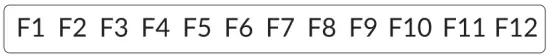 Function Keys