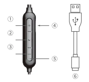 MINISO TB13 Classic Half In-Ear Sport Wireless Earphones User Manual - Product and Accessories