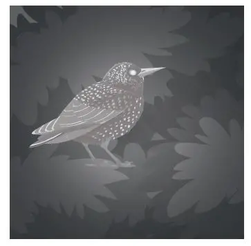 REXING-NVS1-Night-Vision-Scope-FIG-15