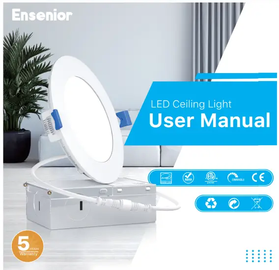 Ensenior LED Ceiling Light 6