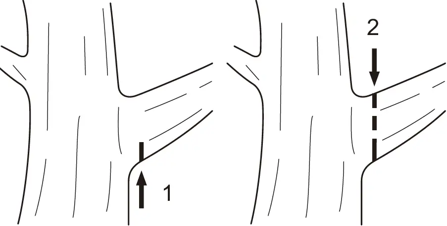 makita DUC254C Cordless Chain Saw 19