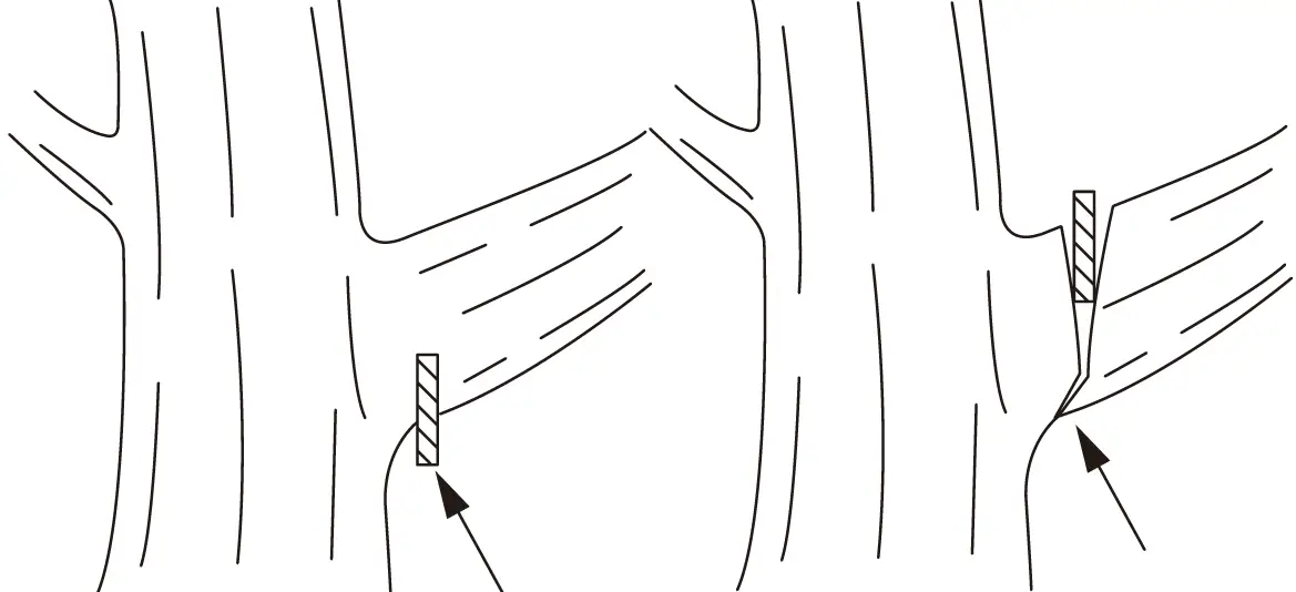 makita DUC254C Cordless Chain Saw 22