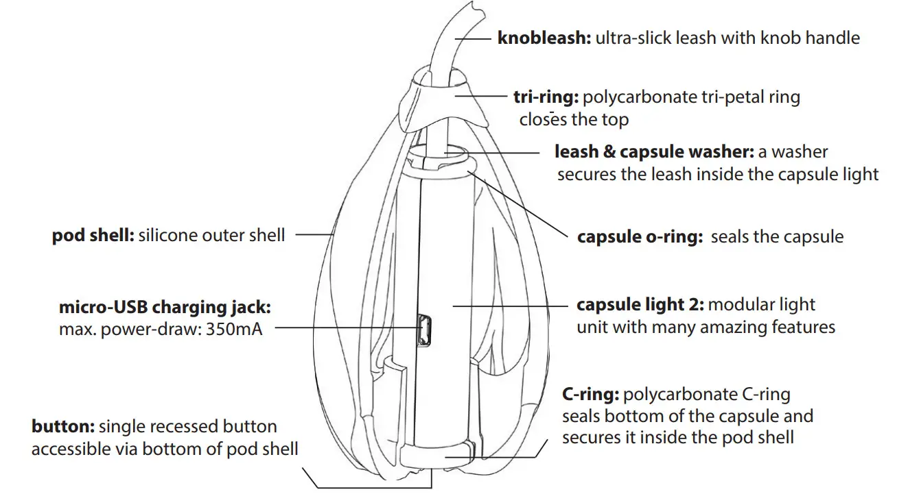 flowtoys podpoi v2 Capsule 2.0 Glow Poi with Capsule Handles