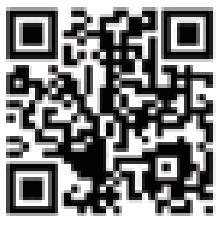 QFX LMS 28 COMBO Bluetooth Rechargeable Party Speaker - QR Code