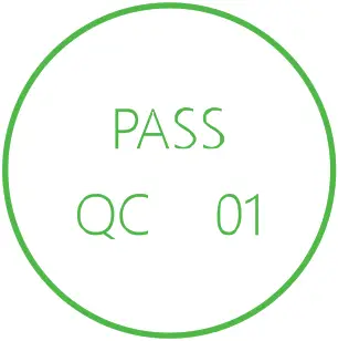 DATOUBOSS 300W Pure Sine Wave Inverter - pres