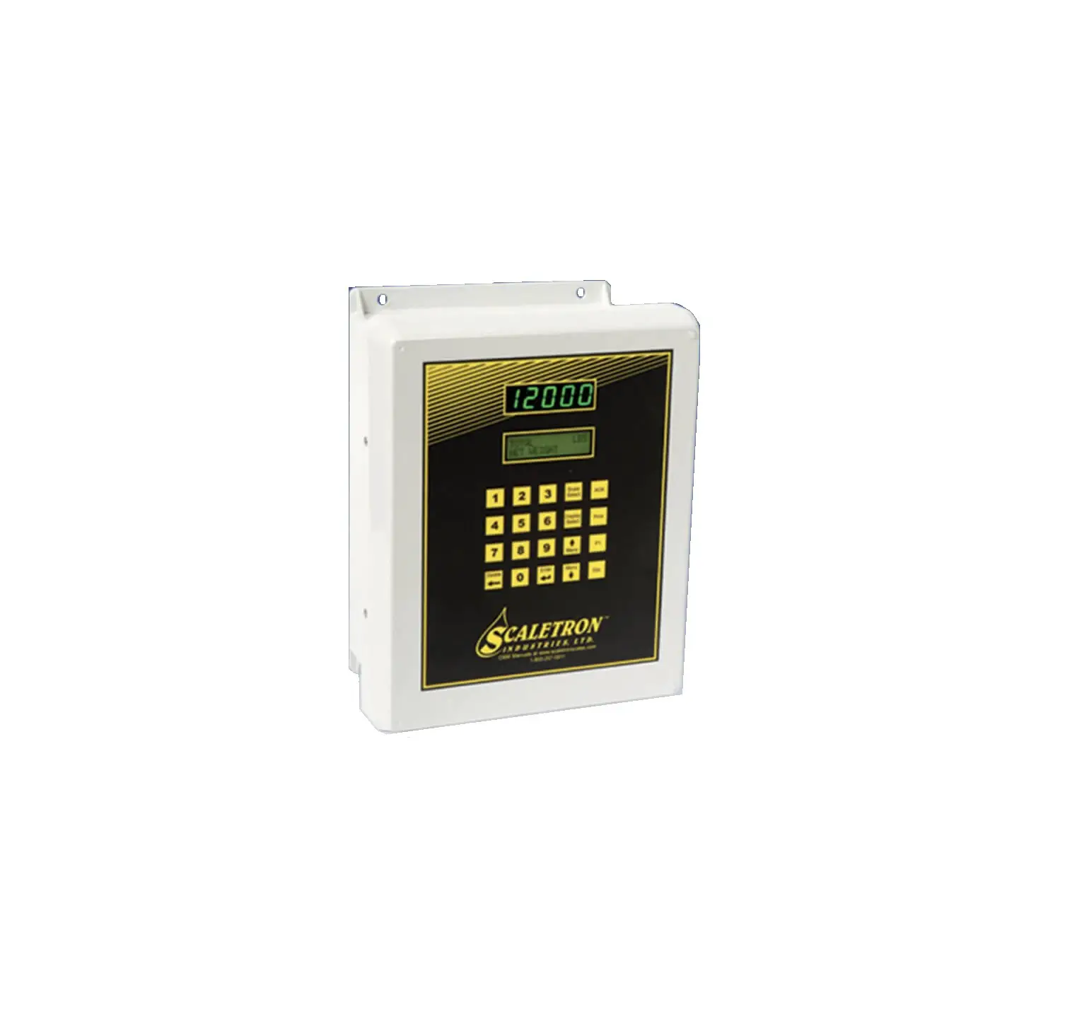 Scaletron 1099 Chemical Process Controller Instruction Manual