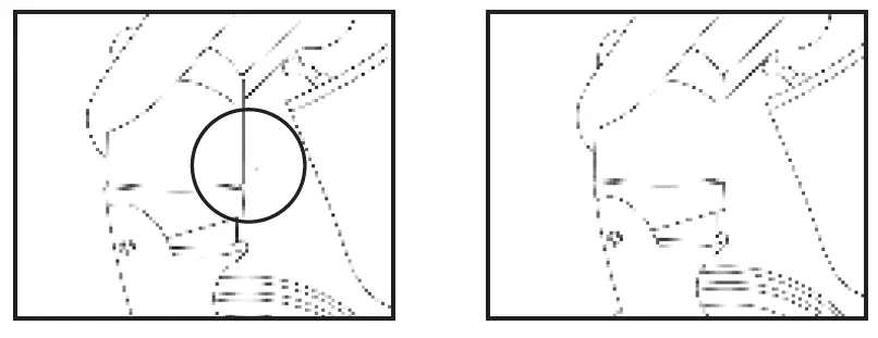 Milly-Coup-Milo-Strolle-17