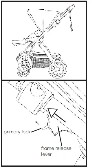 Milly-Coup-Milo-Strolle-23