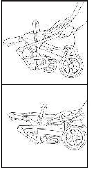 Milly-Coup-Milo-Strolle-24
