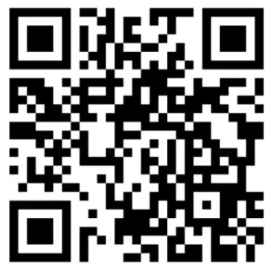 COMBUSTON ANALYSIS AUTO MODE