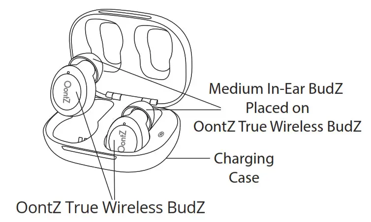 OontZ True Wireless BudZ Bluetooth Earbuds - In the Package