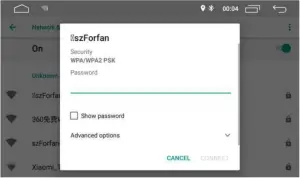 Network & Internet Wi-Fi Connection