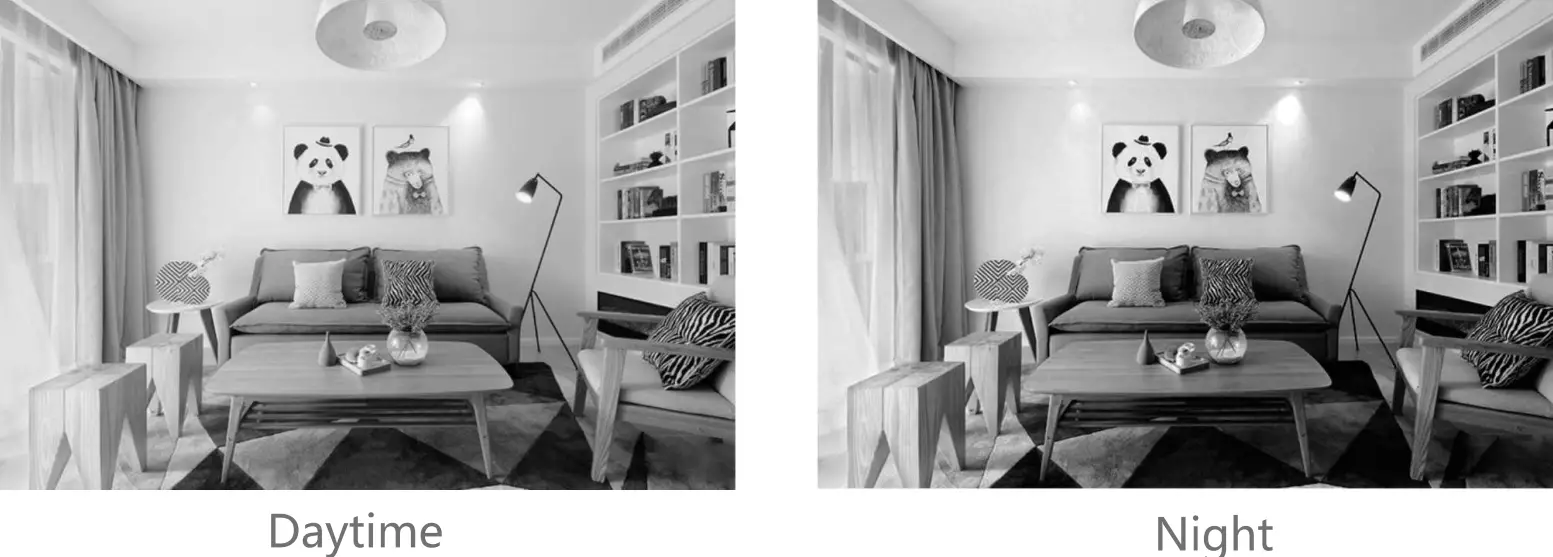 Hangzhou Meari Technology Speed 16S Smart Camera - fig