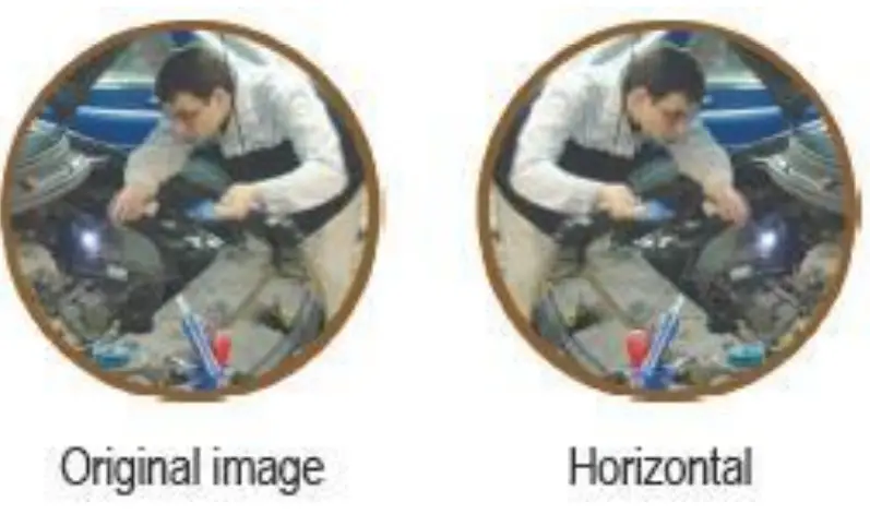 TRIPLETT BR750 5 Inch Display High Definition Articulating Videoscope - fig