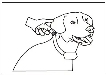 PATPET-A12-No-Bark-Collar-4