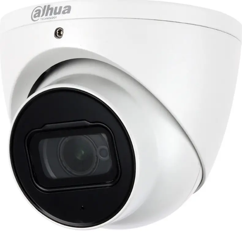 dahua N43AJ52 Eyeball Network Camera