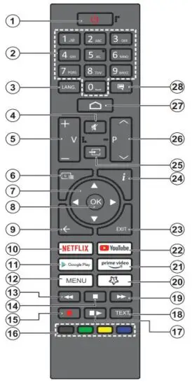 FIG 8 Remote Control.JPG