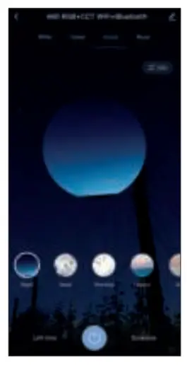 UEDD 02505 Wi-Fi - CONTROL4