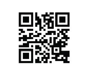 RIGHT-WEIGH PP-003-0061-Onboard-Load-Scale-fig-2