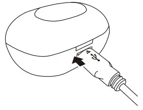 HOW TO USE THE CHARGING CASE