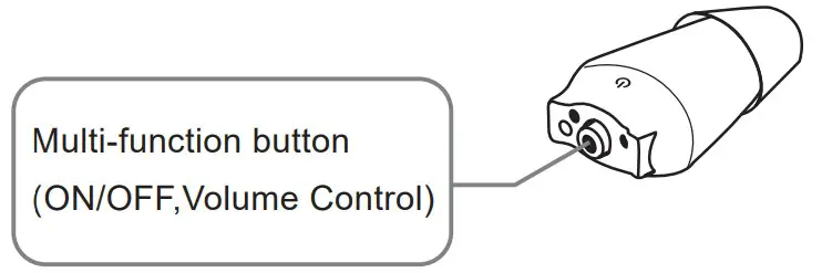 Multi-function button