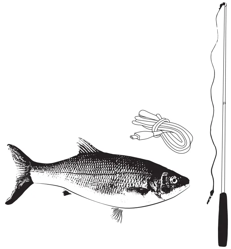 Flippity Fish Amazingly Realistic Cat Toy Flips