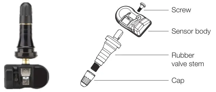 EXPLODED VIEW OF SENSOR 1
