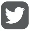 Twitter Icon
