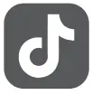 Tiktok Icon