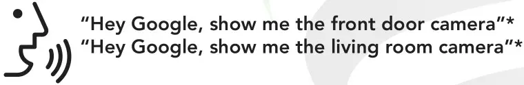 LLOYD S LC-1316 Wireless Camera - Hey Google