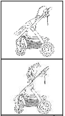 Milly-Coup-Milo-Strolle-06
