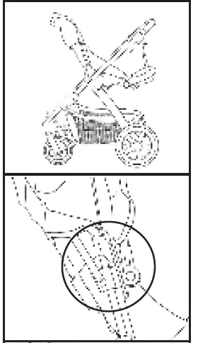 Milly-Coup-Milo-Strolle-08