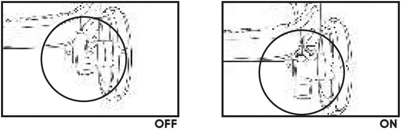 Milly-Coup-Milo-Strolle-16