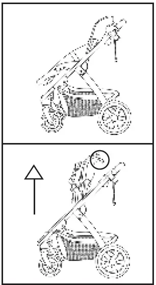 Milly-Coup-Milo-Strolle-21