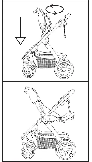 Milly-Coup-Milo-Strolle-22