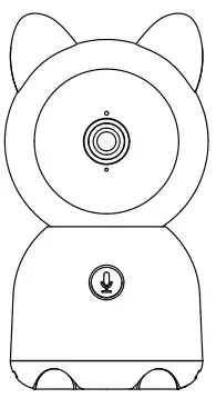 WHAT’S IN THE BOX?