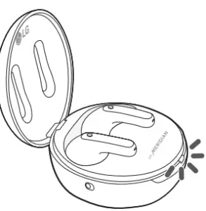 Checking the Battery Status