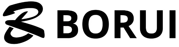 BORUI logo