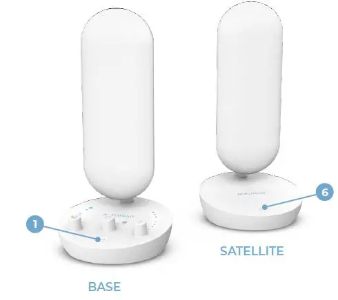 BRIGHT Beacon40 Promote Brain Health 3