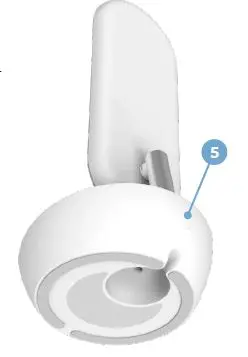 BRIGHT Beacon40 Promote Brain Health 4