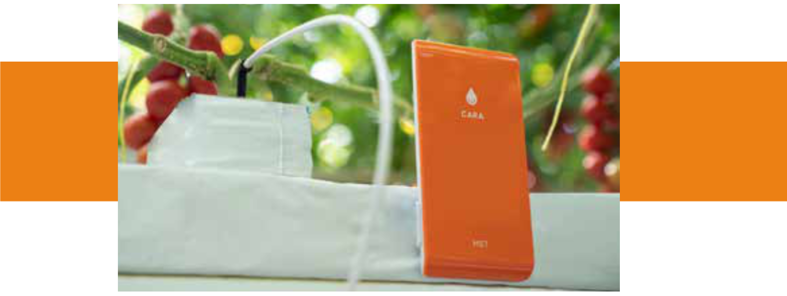 SenseNL CARA MET Wireless Humidity Sensor - REGULAR1