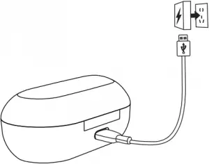 Charging for the charging case 1