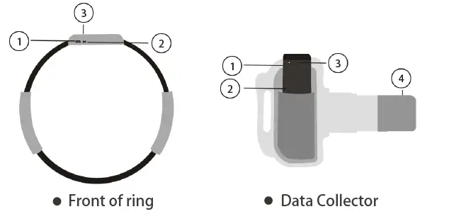 Everlin EL-FR002A Smart Fitness Ring fig 1