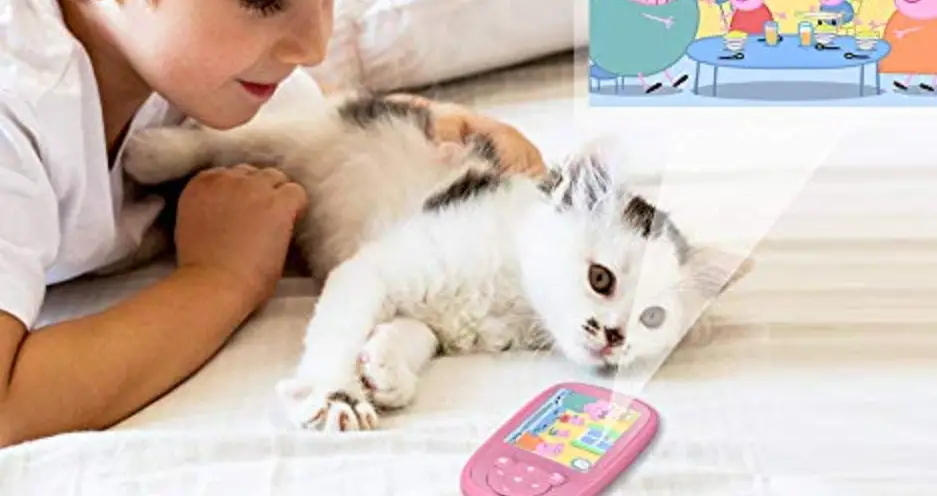 Agptek K2 Music Player User Manual