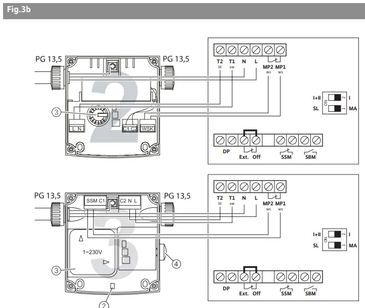 Description and function