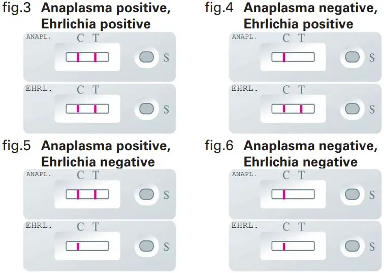 MEGACOR EHRLICHIA FASTest ANAPLASMA-FIG4