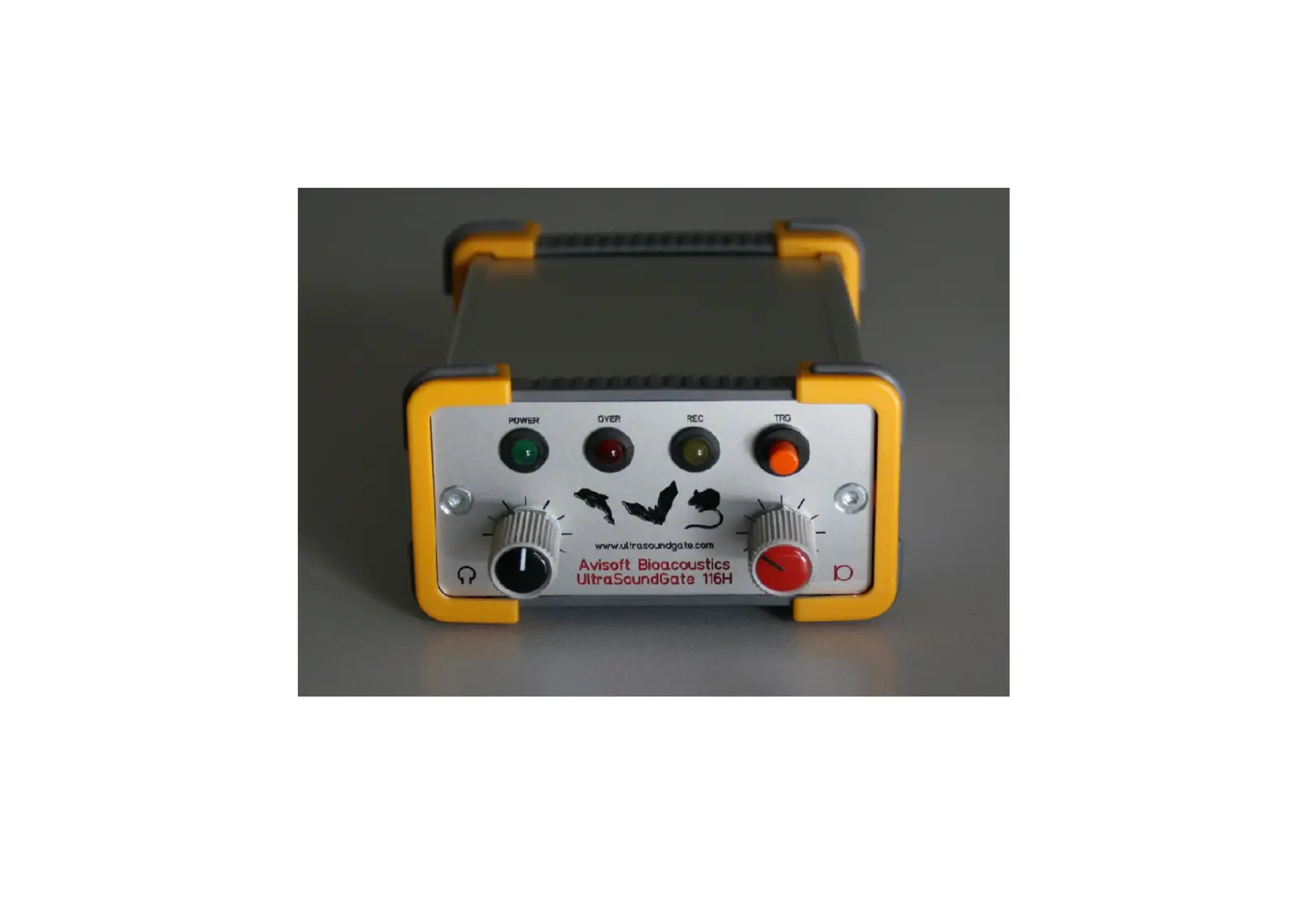 Avisoft Ultrasoundgate 116h User Guide