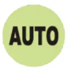 Auto button icon