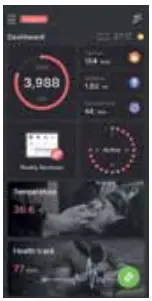 graphical user interface, application