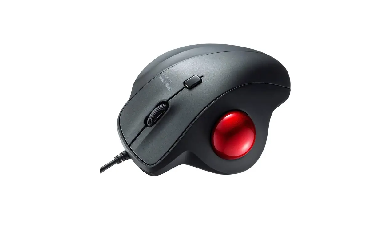 Sanwa Rc9c 2.4g Wireless Mouse Receiver User Guide